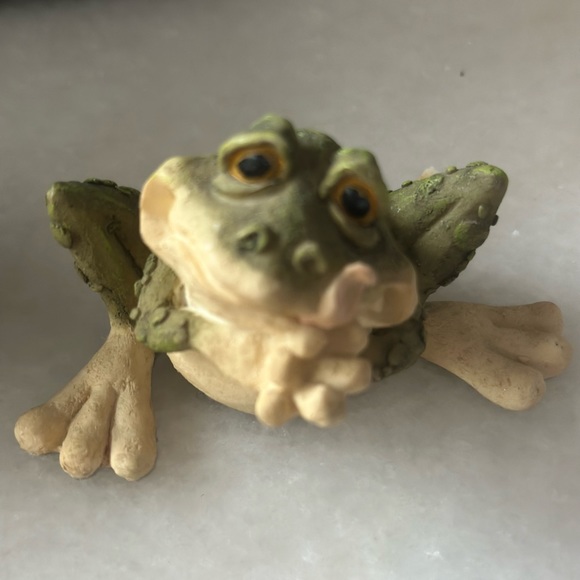 Frogs - Picture 6 of 6